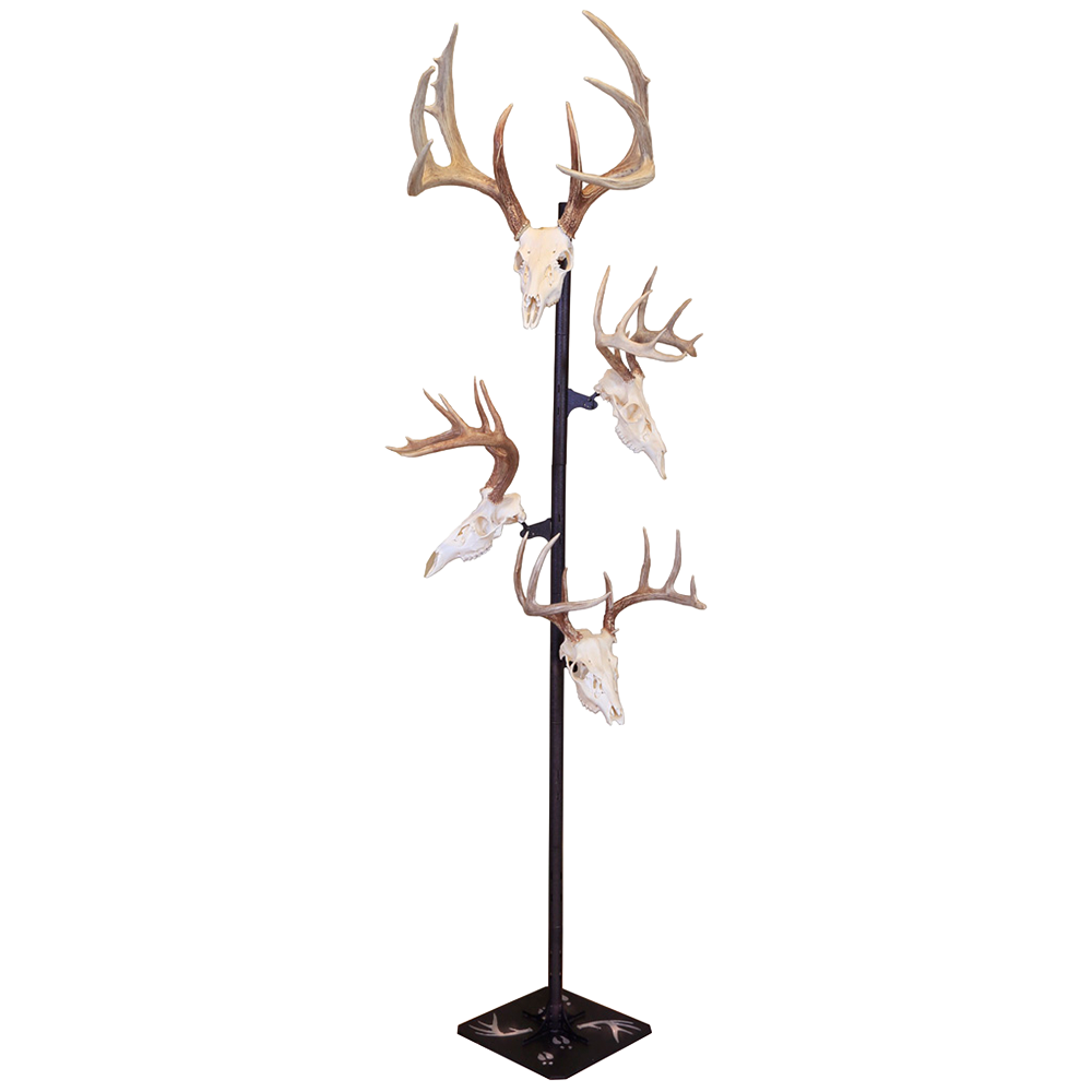 SKULL HOOKER, Trophy Tree